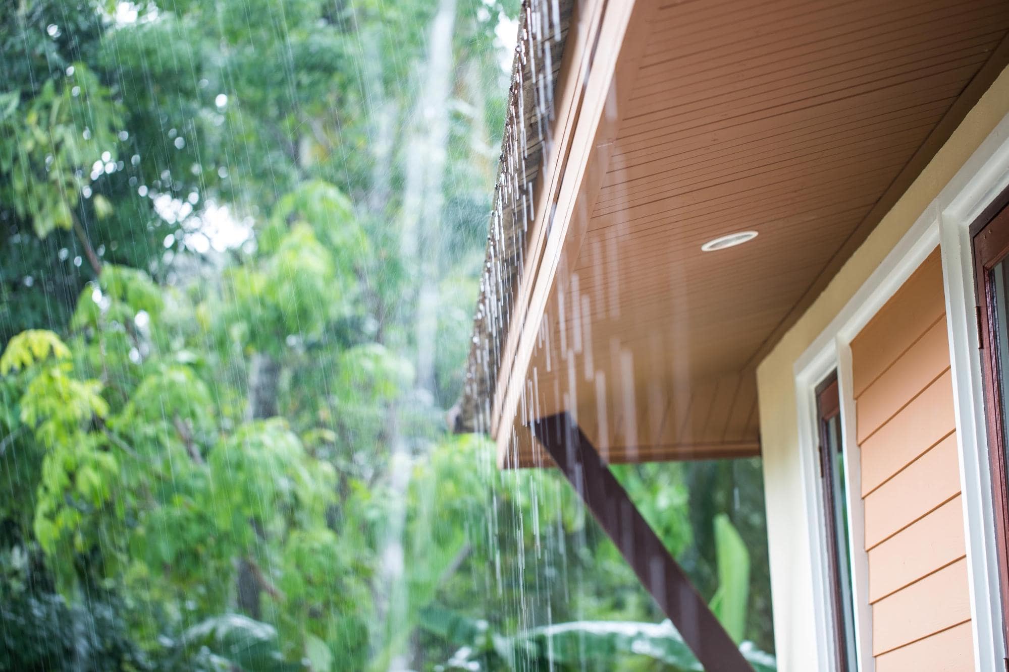 House Siding Options: Prioritizing Moisture Management Within Your Home 